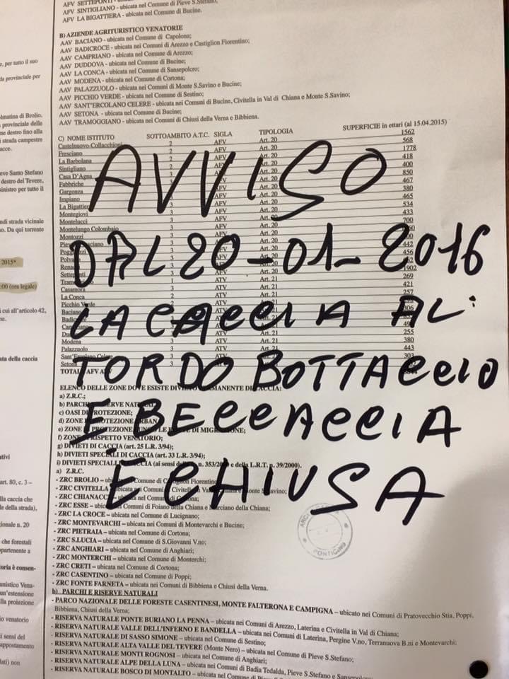 la caccia al tordo